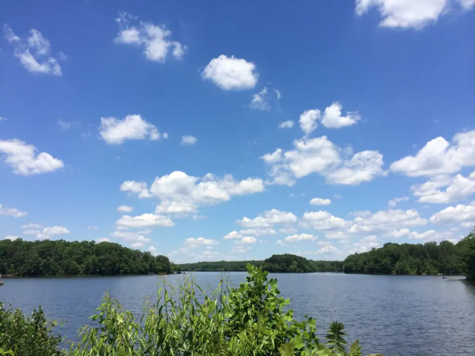 Burke Lake in Burke Lake Park, Burke, Virginia, on a sunny summer day with a wooded shoreline under a blue sky with white clouds