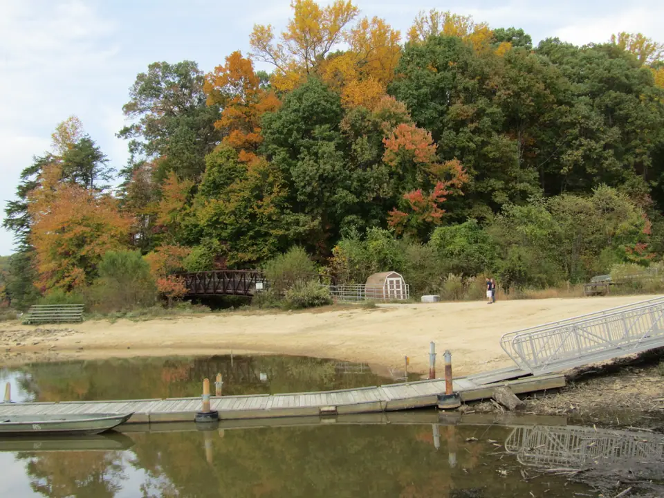 Lake Accotink Park in Springfield, Virginia, in autumn: the marina dock and sandy shore with the wooded lakeside in fall colour behind