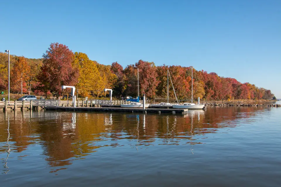 The Potomac River shoreline at Leesylvania State Park in Woodbridge, Virginia, with sailboats at the dock and trees in full autumn colour under a blue sky